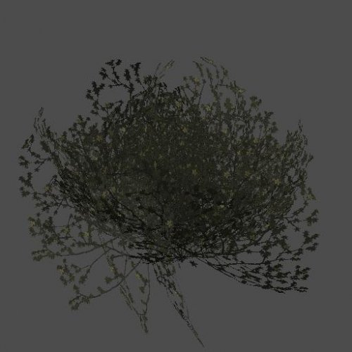 fnv_bush