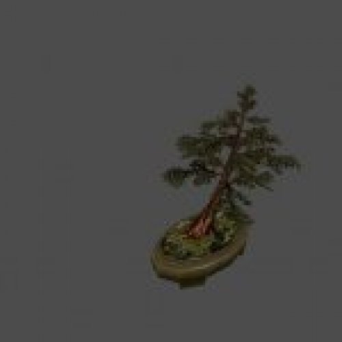 jb_japanese_bonsai