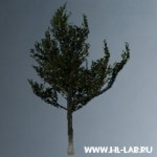 vts_tree_spring.mdl