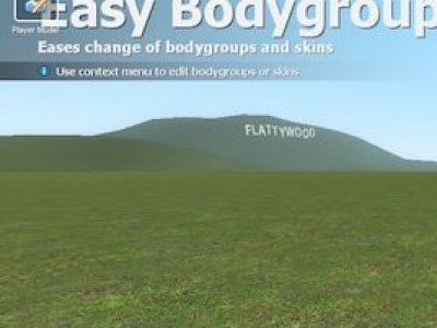 Easy Bodygroup Tool