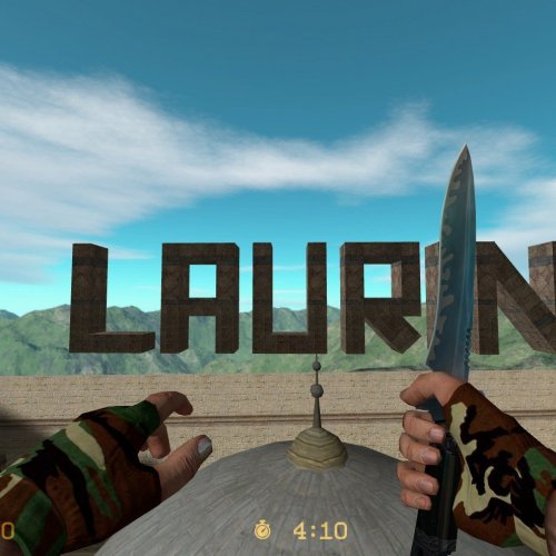 2-Camo-Gloves