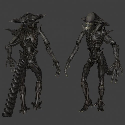 Xeno Preatorian