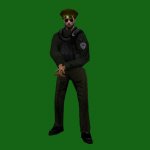 armedpolice