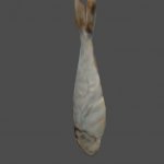 hangingFish