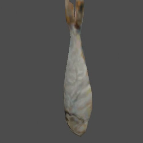 hangingFish