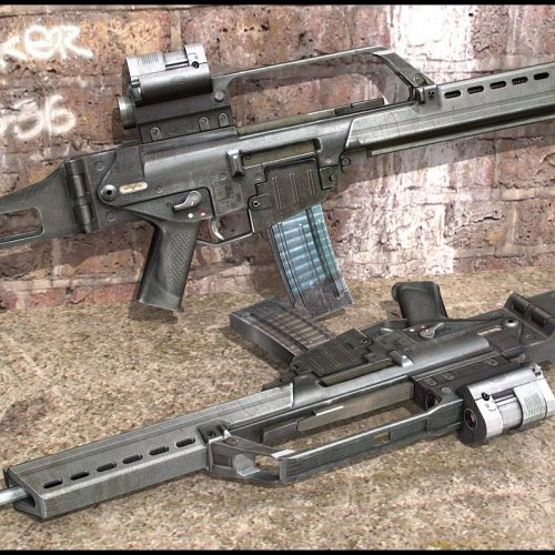S.T.A.L.K.E.R. G36