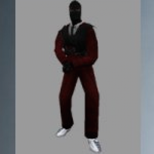 aaronl_robber