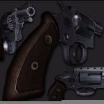 Taurus Snub-nose