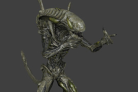 Xeno Boiler