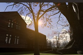 dm_woodland_b1