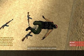 Chinese Guerilla