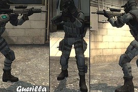 Operation Raccoon City