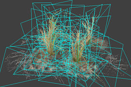 l10swamp_plant_group5