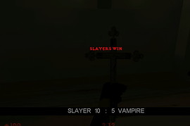 Vampire Slayer