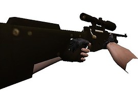 Brown Awp