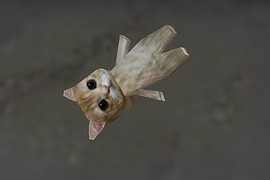 El Gato
