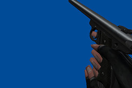 Furious Ruger