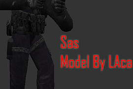 sas_LAca