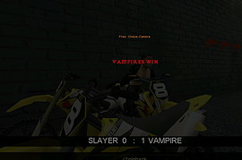 Vampire Slayer