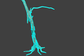 !tree_06