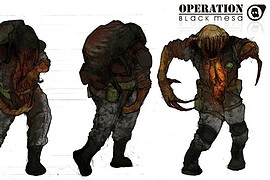 Operation Black Mesa