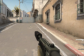 Spas-12