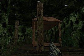 dm_forest