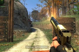 LE2 Toned Golden Hav0c Deagle