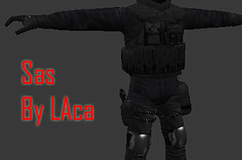 sas_LAca