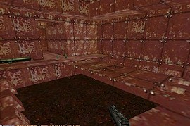 Dm4
