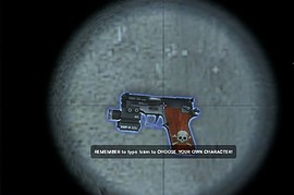 Wooden_Grip_Pistols_w_Skull_Imprint