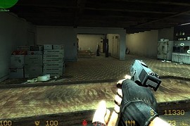 Photoskinned Glock 29