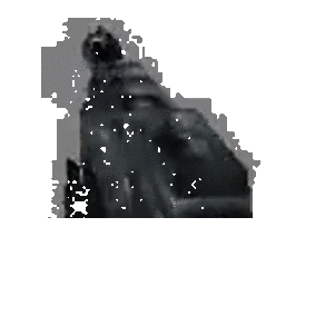 Shotgun Reanimation