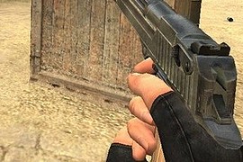 grey deagle with reflections'a