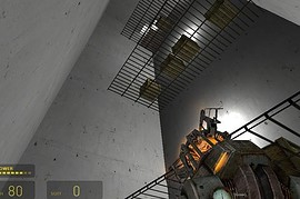 dm_rats