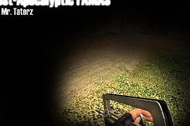 Post-Apocalyptic FAMAS