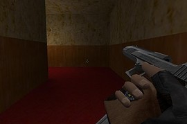 RE2 Desert Eagle