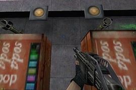 half_life_pool_day2