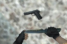 M1911A1 SWAT Custom