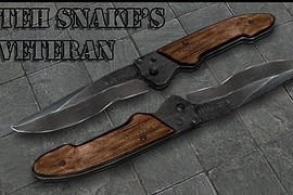 Teh_Snake_s_Veteran
