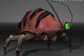 Operation Black Mesa