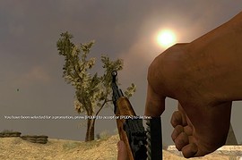SKS_Reskin
