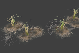 l10swamp_plant_group6