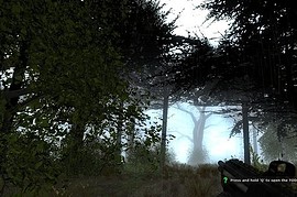 gm_forest
