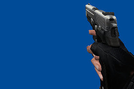 SIG P226 Two Toned