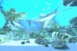 Aquarium (аквариум) CSO2