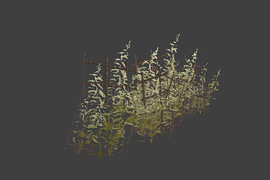 grass_pack1b_line