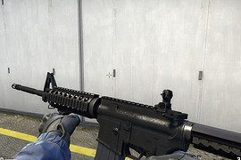 CODOL animation M4A1
