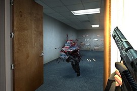 Zombie Punisher Deagle
