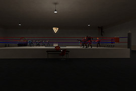 arena_TopSecretBoxingMelee